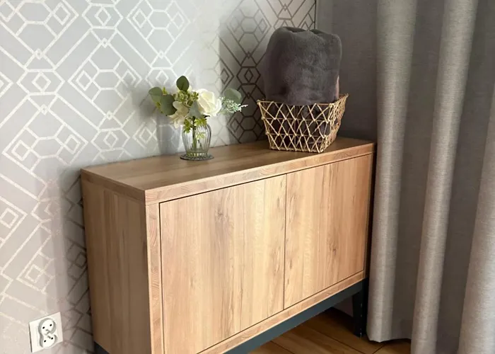 公寓 Apartament Mechelinki *